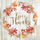 Give Thanks Art Print