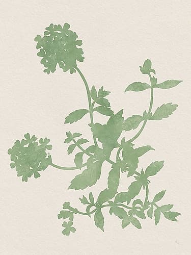Vintage Garden II Minimalist Print