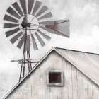 Lofty View Art Print by Nan