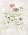 Soft Lace I Art Print