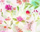 Summer Garden Art Print