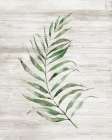 Tropic Frond I Art Print