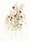 Wildflower Breeze I Art Print