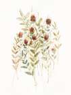Wildflower Breeze II Art Print