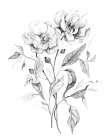 Wild Roses Art Print