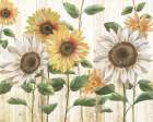 Sunflower Surprise Art Print by Nan
