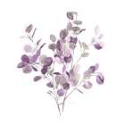 Lavender Leaves II Art Print