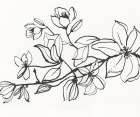 Magnolia Art Print