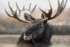 Moose Spa Art Print