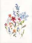 Spring Flower Garden I Art Print