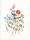 Spring Flower Garden II Art Print