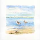 Sandpiper Beach II Art Print