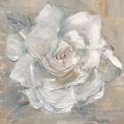 Gardenia Blush Art Print