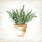 Bucket of Greenery I Art Print by Nan