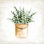 Bucket of Greenery II Art Print by Nan