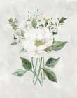 White Farmhouse Botanical II