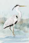 Heron on Blue I