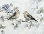 Soft Finch Summer