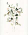 Leafy Botanical I