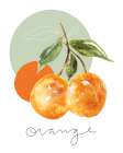 Orange Art Print