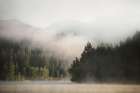 Misty Serenity
