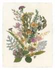 Organic Bouquet I