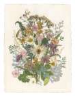 Organic Bouquet II