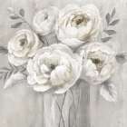 Creamy Peonies Art Print by Nan