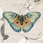 Papillon II Art Print