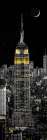 NY Night Art Print