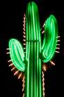 Neon Cactus Art Print