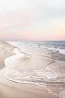 Corolla Soft Sunset