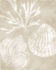 Neutral Coral I Art Print
