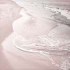 Corolla Soft Serenity Art Print
