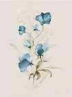Sweet Pea I Art Print
