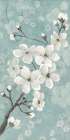 Dogwood Bloom II Art Print