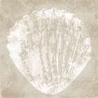 Sandy Shell I Art Print
