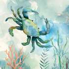 Coral Bay Crab Art Print