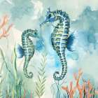 Coral Bay Seahorses Art Print by Nan