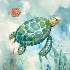 Coral Bay Sea Turtle I Art Print by Nan