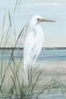 Summertime Heron I Art Print
