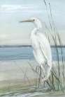 Summertime Heron II Art Print