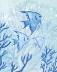 Angel Fish I Art Print