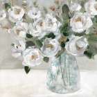 Modern Roses II