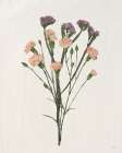 Organic Floral III Art Print
