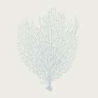 Soft Coral I