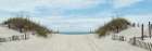 Path to Corolla Art Print