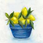 Sicilian Lemons II Art Print