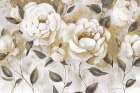 Golden White Roses Art Print