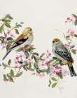 Songbird Duo II Art Print